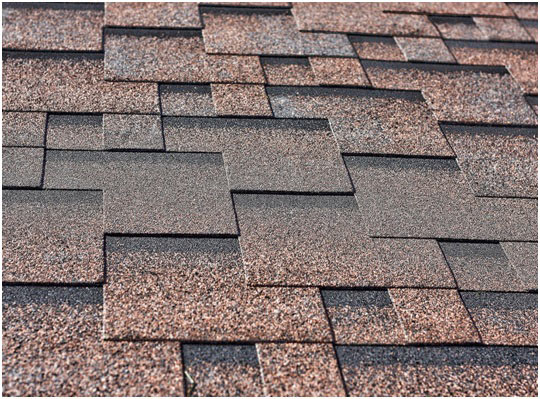 roofing
roofing materials
roofing design
roofing sheets
roofing types
roofing supplier
roofing accessories
roofing architecture
roofing advertisement
roofing contractors